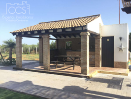 Venta de finca de 6.008 m2 de terreno con vivienda y piscina en Pilas. photo 0
