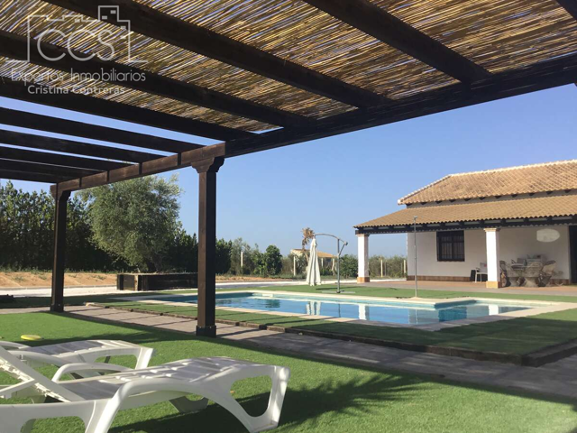 Venta de finca de 6.008 m2 de terreno con vivienda y piscina en Pilas. photo 0
