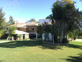 Venta de finca de 4.665,81 m2 de terreno con vivienda de 390 m2 construidos, piscina y  pista de tenis en Alcalá de Guadaira. photo 0
