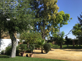 Venta de finca de 4.800 m2 de terreno con vivienda de 390 m2 construidos, piscina y  pista de tenis en Alcalá de Guadaira. photo 0