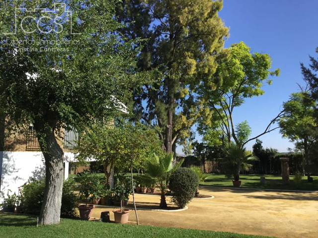 Venta de finca de 4.800 m2 de terreno con vivienda de 390 m2 construidos, piscina y  pista de tenis en Alcalá de Guadaira. photo 0