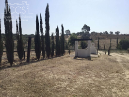 Venta de finca EN PROPIEDAD de 37.669 m2 de terreno, con nave, casa de aperos, 6 boxes y trastero en Almonte. photo 0