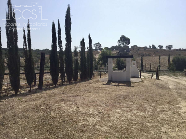 Venta de finca EN PROPIEDAD de 37.669 m2 de terreno, con nave, casa de aperos, 6 boxes y trastero en Almonte. photo 0