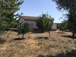 Venta de finca en CONCESIÓN, 4.500 m2 de terreno y casa de aperos, en Almonte. photo 0