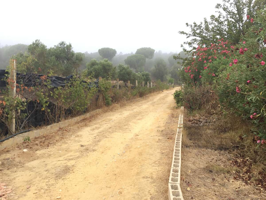 Venta de finca en PROPIEDAD de 9.744 m2 de terreno con vivienda de 90 m2 y piscina en Almonte. photo 0