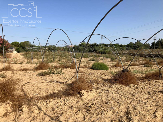 Venta de finca en PROPIEDAD de 9.744 m2 de terreno con vivienda de 90 m2 y piscina en Almonte. photo 0