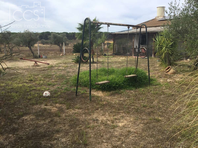 Venta de finca en CONCESIÓN de 2.600 m2 de terreno y 90 m2 de casa de aperos en Almonte photo 0