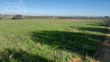 Venta de finca rústica EN PROPIEDAD de  34.257 m2 de terreno  de secano en Almonte photo 0