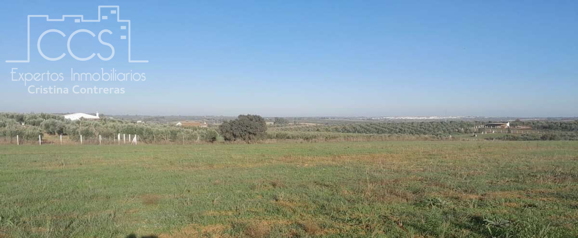 Venta de finca rústica de 34.257 m2 de terreno  de secano en Almonte photo 0