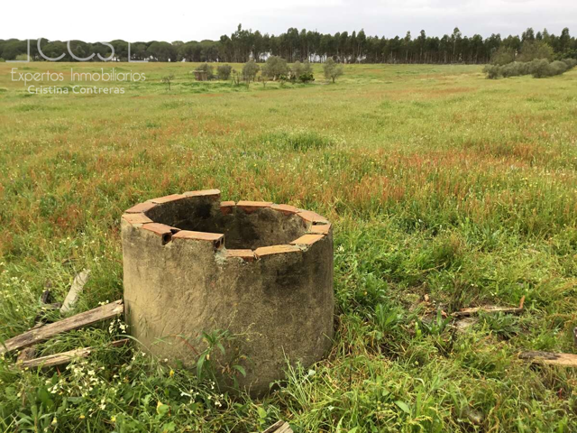Venta de finca en CONCESIÓN de 7 ha de terreno y una casa de aperos de 67m2 construidos en Almonte photo 0
