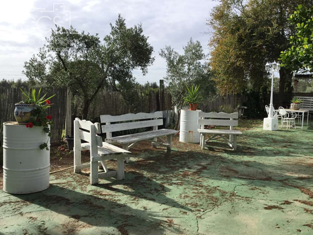 Venta de finca en PROPIEDAD de 3.236 m2 de terreno, casa de aperos de 100 m2 construidos en Almonte. photo 0
