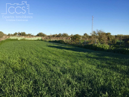 Venta de finca de 8.496 m2 de terreno con una construcción de 144 m2 construidos en Pilas. photo 0