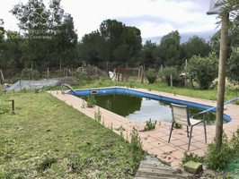 Venta de finca en PROPIEDAD de 8.450m2 de terreno y en CONCESIÓN de 3.300 m2 en Almonte. photo 0