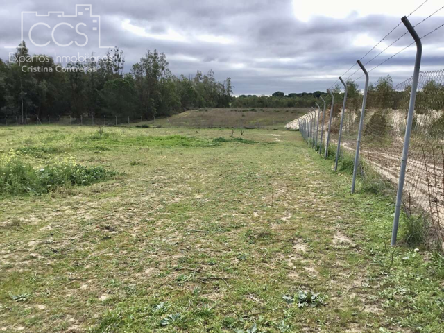 Venta de finca en PROPIEDAD de 8.876m2 de terreno y en CONCESIÓN de 3.300 m2 en Almonte. photo 0