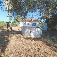 Venta de parcela de 2.493m2  de terreno urbano con una  VIVIENDA de 83m2, con cuadra, almacén y piscina  en Urbanización La Celada Carmona (Sevilla) photo 0