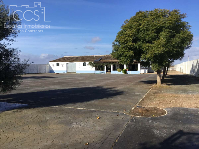 Venta de finca en PROPIEDAD de 5.336 m2 de terreno con casa de 120 m2 construidos ,5 cuadras, 10 gallineros y 1 pozo centenario en Almonte. photo 0