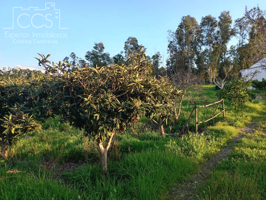 Venta de finca de 7.283M2 de terreno en PROPIEDAD,  y 2.400m2 en CONCESÓN, con  una casa de aperos  de 70m2, en Almonte (Huelva) photo 0