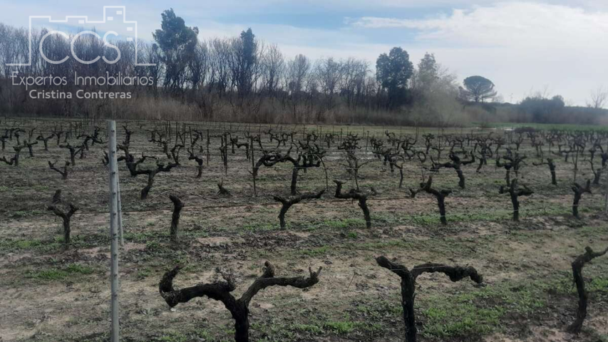 Venta de finca en PROPIEDAD de 19.123m2 de terreno, en Almonte (Huelva) photo 0