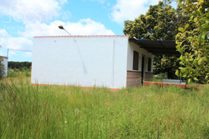Venta de finca EN CONCESIÓN de 6.500m2 y casa de aperos de 60m2 construidos en Almonte (Huelva) photo 0