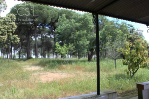 Venta de finca EN CONCESIÓN de 6.500m2 y casa de aperos de 60m2 construidos en Almonte (Huelva) photo 0