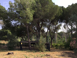 Venta de finca de 3.180 m2 de terreno con una Vivienda de 133,77 m2 construidos, y pozo legalizado  en Hinojos. photo 0
