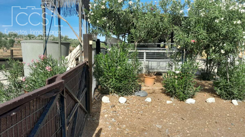 Alquiler de finca en PROPIEDAD con 19.535m2 de terreno y  nave de 70m2 en Almonte photo 0