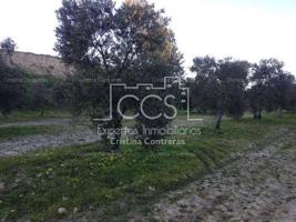 Finca 17,5ha de olivar en Valencina de la Concepción photo 0