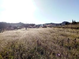 Parcela buena para construir una casa photo 0