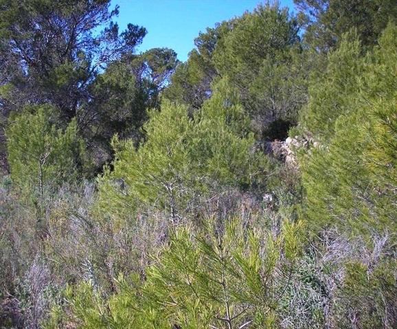 Venta - Benissa, Alicante photo 0