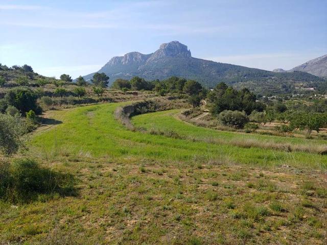 Venta - Benissa, Alicante photo 0