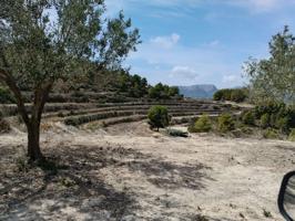 Venta Parcela-Finca - Benissa, Alicante photo 0