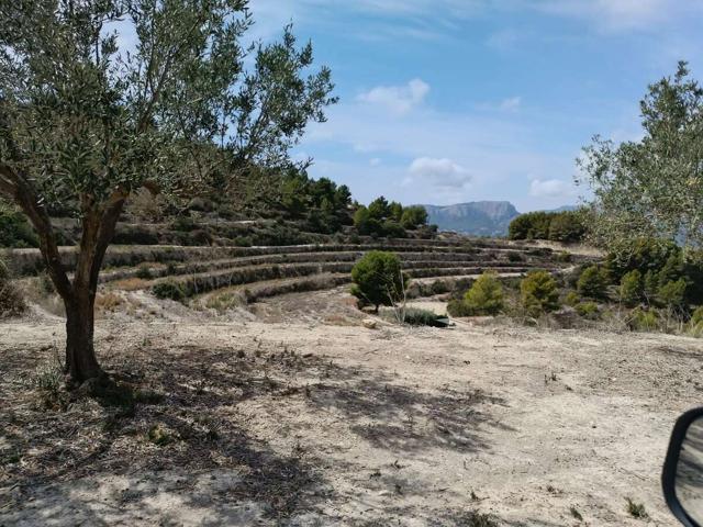 Venta Parcela-Finca - Benissa, Alicante photo 0