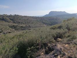 Venta Parcela-Finca - Llíber, Alicante photo 0