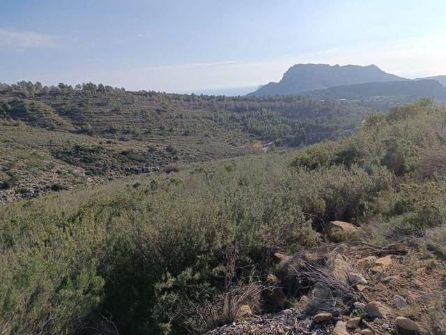 Venta Parcela-Finca - Llíber, Alicante photo 0