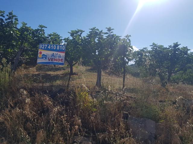 Casa En venta en La Dehesa, Torremenga photo 0