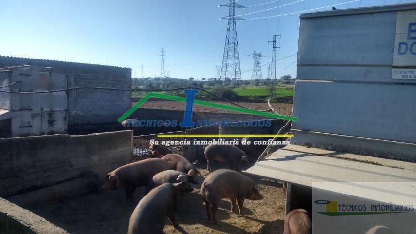 Terreno Urbanizable En venta en Barriadas, Mérida photo 0