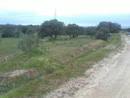 Terreno Urbanizable En venta en Santo Domingo, Valverde De Mérida photo 0