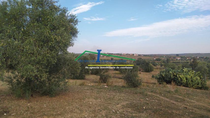 Terreno Urbanizable En venta en San Andres, Mérida photo 0