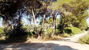 2 PAI Venta En Riba Roja de Túria El Clot de Navarrete photo 0