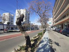 Alquiler Local comercial - Torre del mar, Málaga photo 0