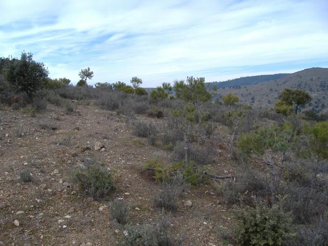 Terreno Urbanizable En venta en Navas Del Rey, Navas Del Rey photo 0