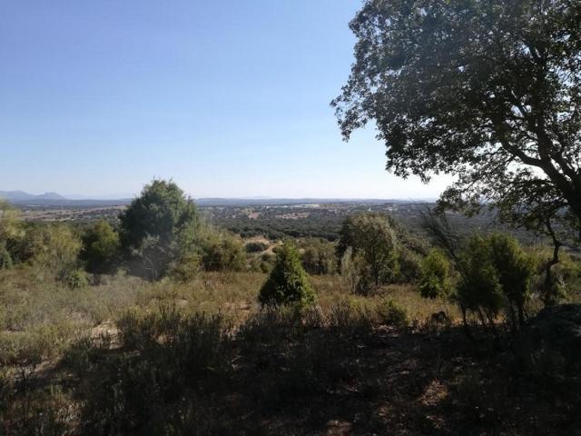 Terreno Urbanizable En venta en Fuente Los Lirios, Navas Del Rey photo 0