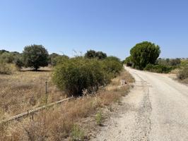 Terreno Urbanizable En venta en Campo, Navas Del Rey photo 0