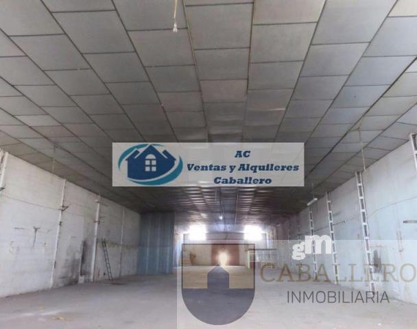 Nave Industrial En alquiler en Zarandona, Murcia photo 0