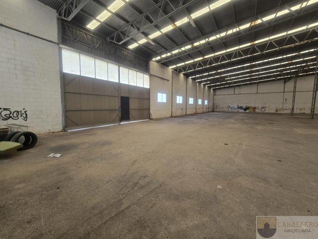 Nave Industrial En venta en Urbanizacion La Paloma, Totana photo 0