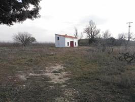 Terreno Urbanizable En alquiler en Fuente El Saz, Fuente El Saz photo 0