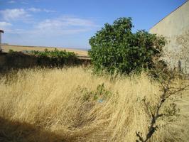 Terreno Urbanizable En venta en Medina De Lastorres, Medina De Las Torres photo 0