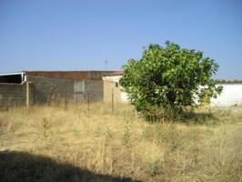 Terreno Urbanizable En venta en Medina De Lastorres, Medina De Las Torres photo 0