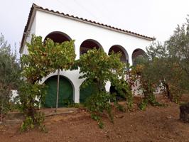 Terreno Urbanizable En venta en Medina De Lastorres, Medina De Las Torres photo 0