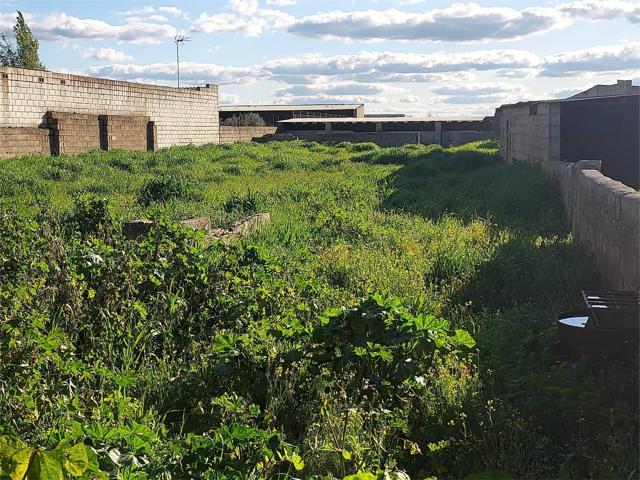Nave Industrial En venta en Puebla De Sancho Pérez, Puebla De Sancho Pérez photo 0